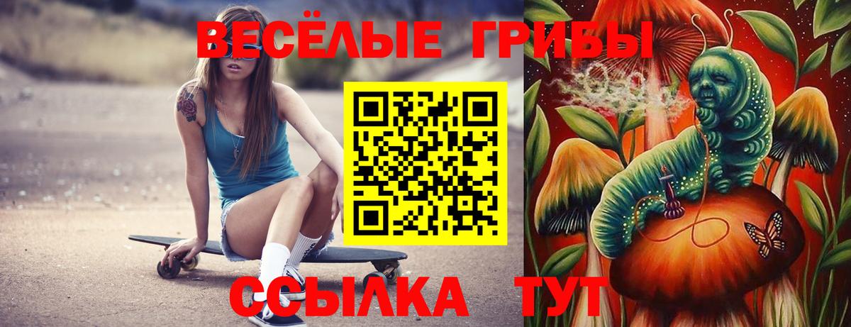 Галлюциногенные грибы Psilocybe Ангарск